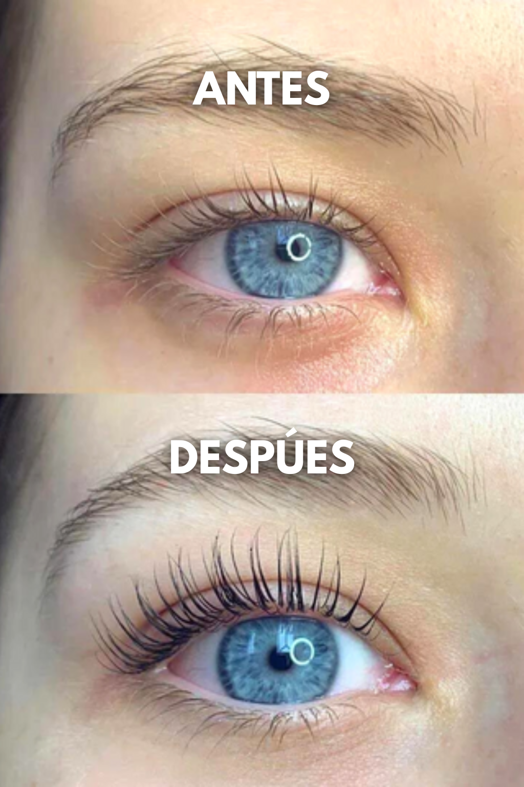 Pack 2 LashMax Serum Pestañas | ¡TIEMPO LIMITADO!