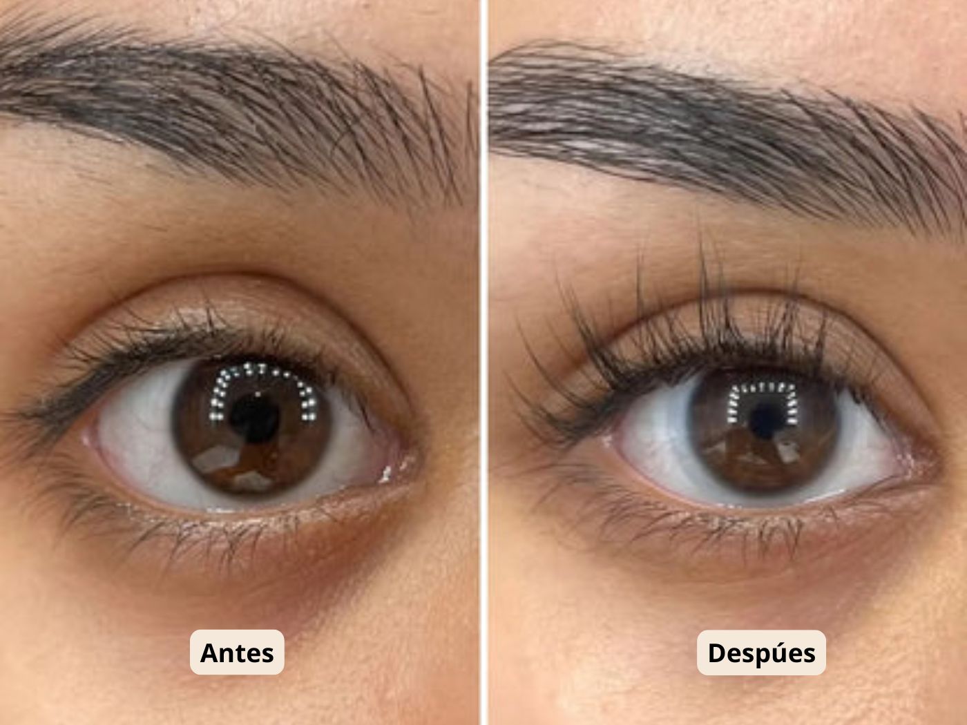 Pack 2 SERUM  ceja & Pestañas